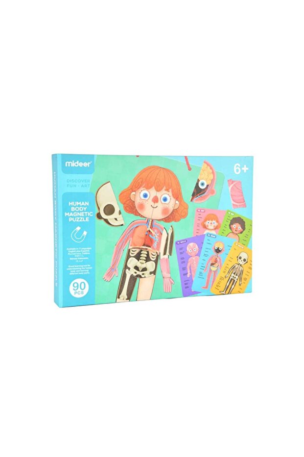 Body Magnet Building Set