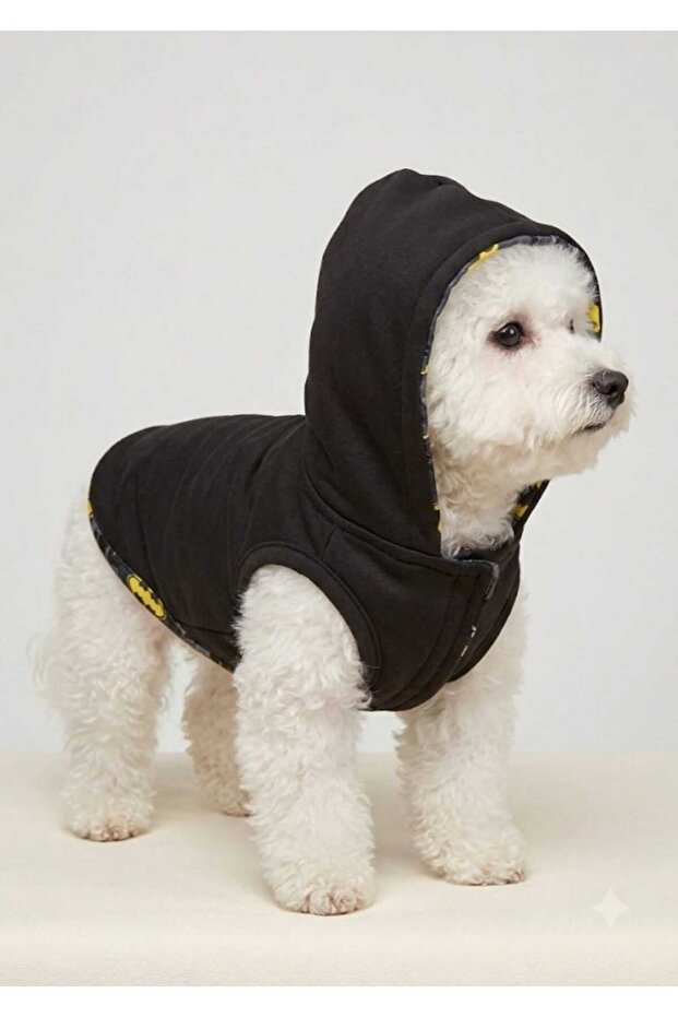 Cat Dog Clothing Wind Rain Proof Raincoat Suitable for Male
