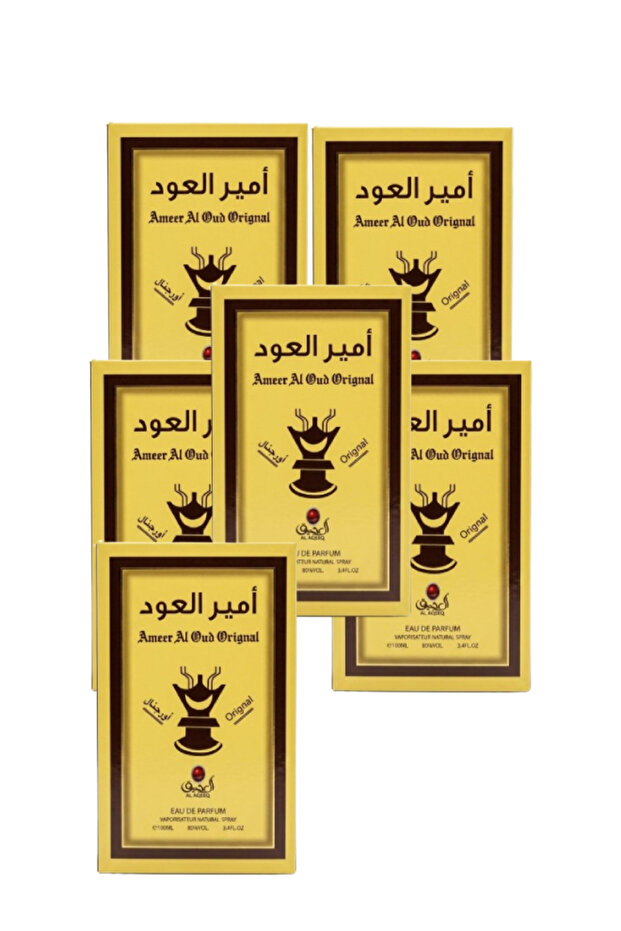 6 قطع من عطر أمير العود الأصلي 100 مل