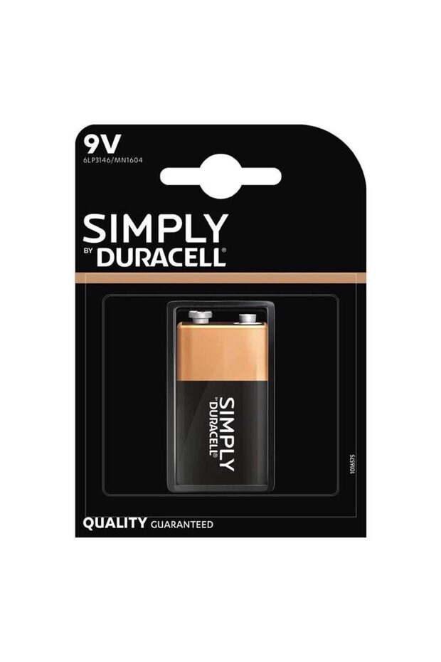 9V Batteries