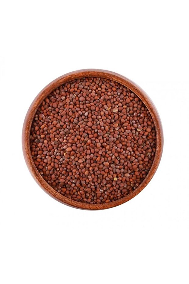بذور الفجل - 1