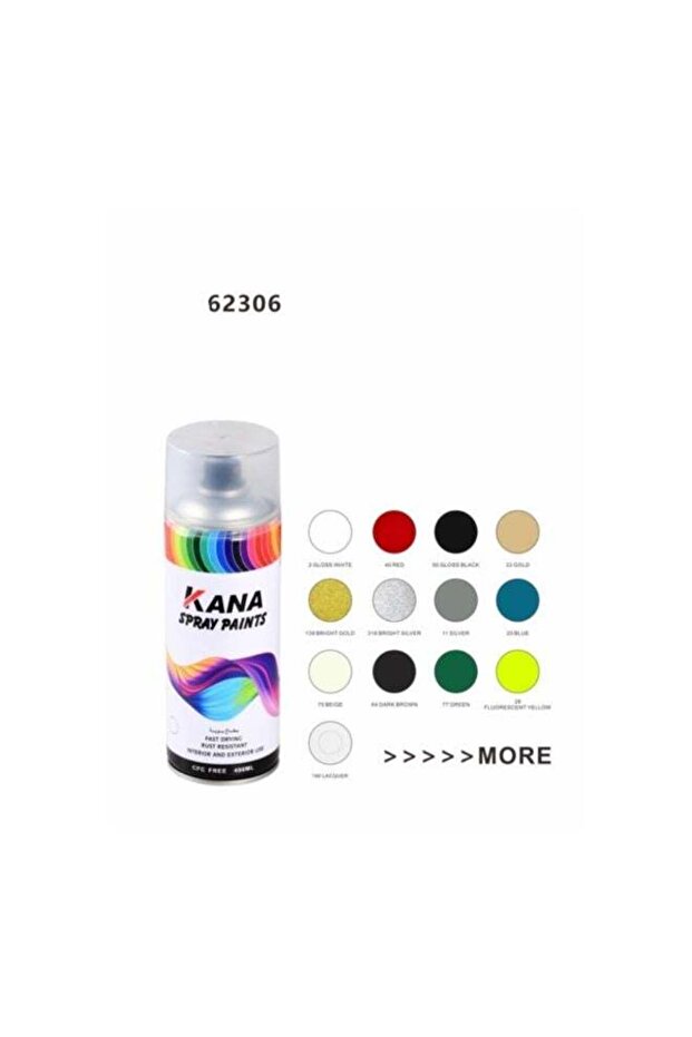 Professional Spray Paint - 1