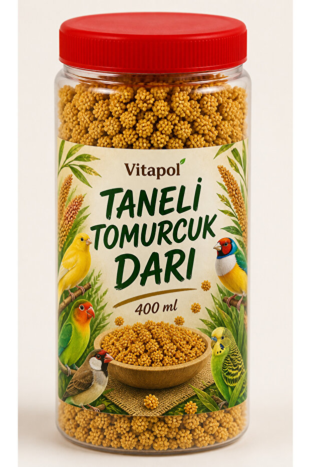 TANELİ TOMURCUK DARI