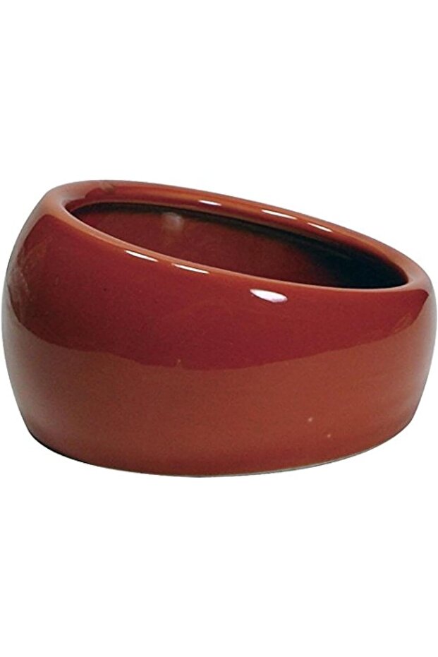 Ergonomic Dish Terracotta Small