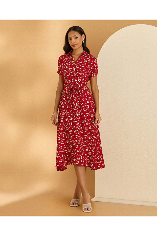 Women Red Printed Dress