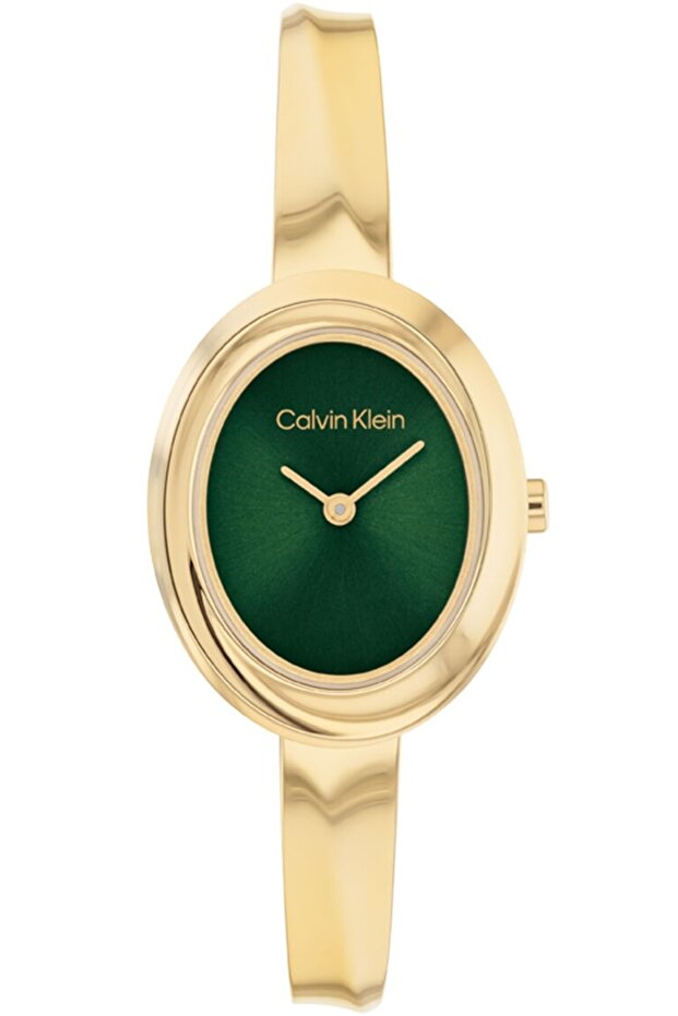 Ck25100203 Women's Wristwatch