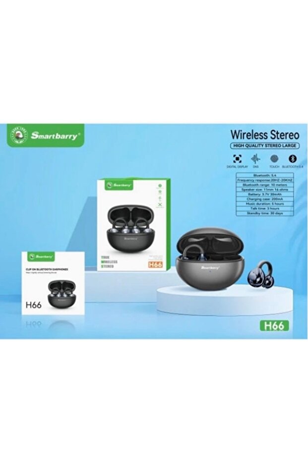 -True Wirless Stereo Earbuds-High quality H66