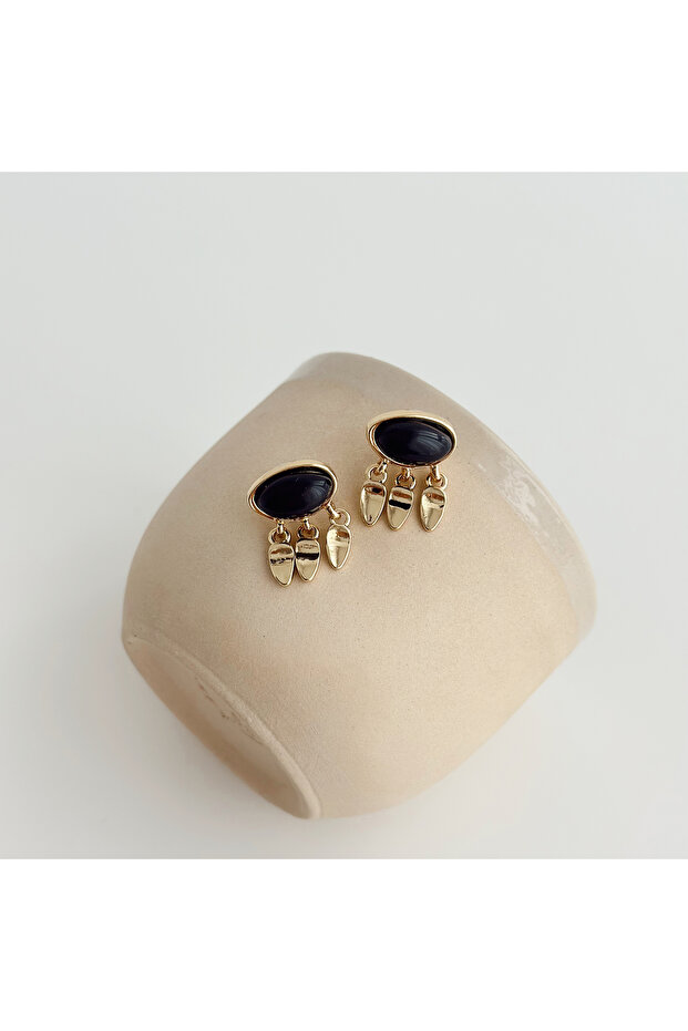 Aigle Steel Earring | Steel Earrings