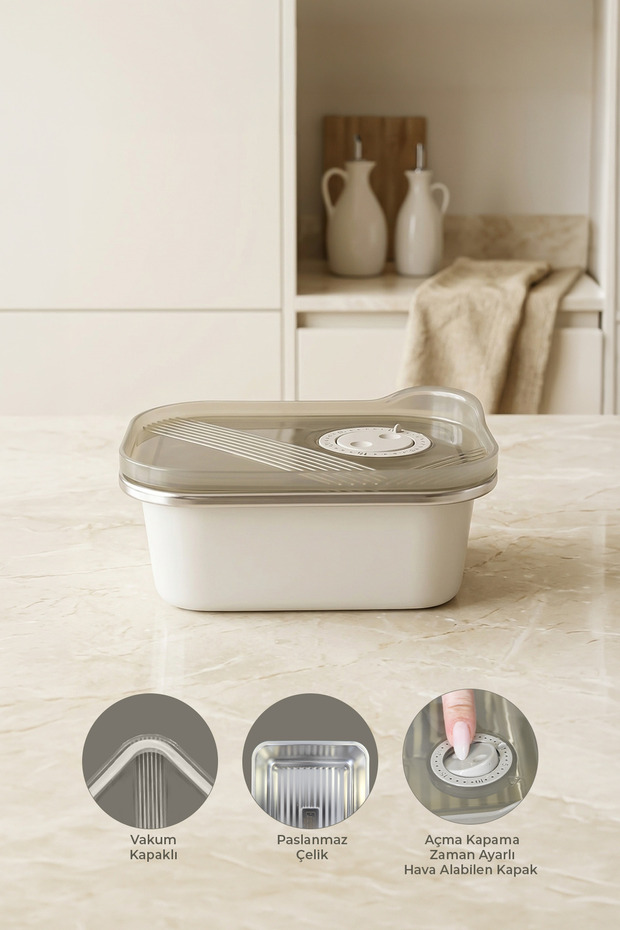 Stainless Steel Vacuum Storage Container, Oven and Cake Container for Breakfast 300 ml