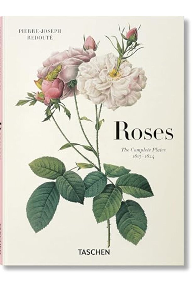 Redoute Roses