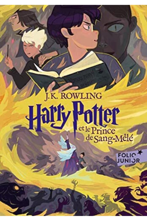 Harry Potter Et Le Prince De Sangmêlé