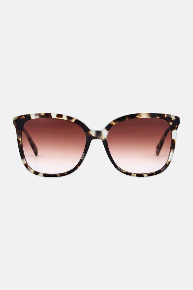 Women LO706S Square Sunglasses, Havana