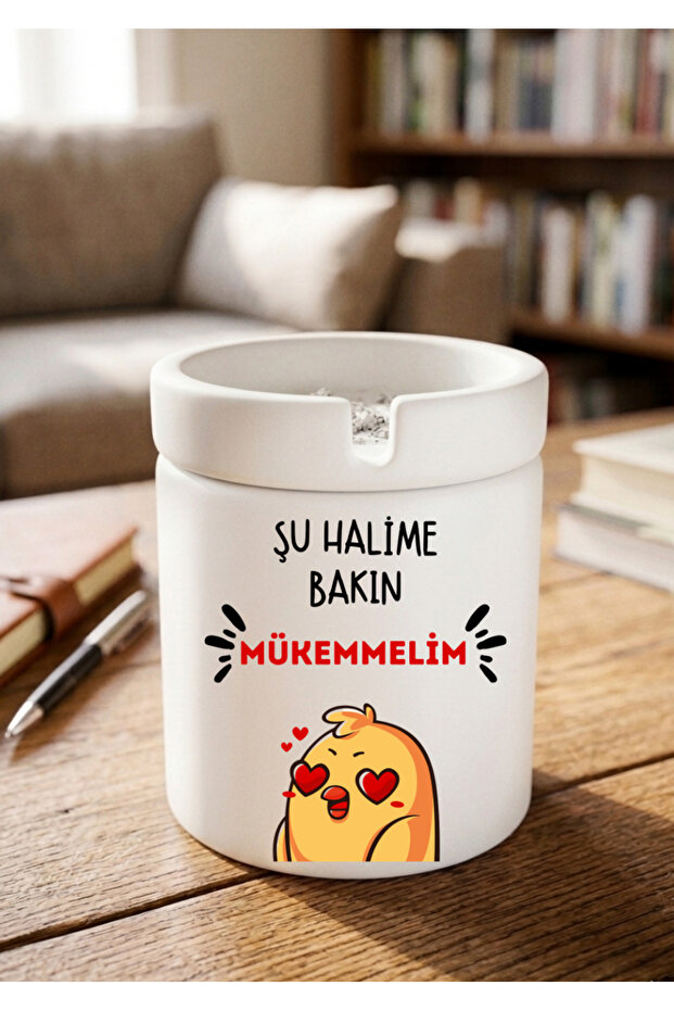 Look at Me, I'M Perfect Humor Themed Printed Ceramic Ashtray Odorless Ashtray Cigarette Holder