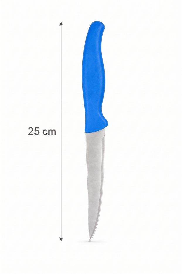 25 cm Stainless Steel Vegetable and Fruit Knife – Sharp Kitchen Knife with Ergonomic Handle