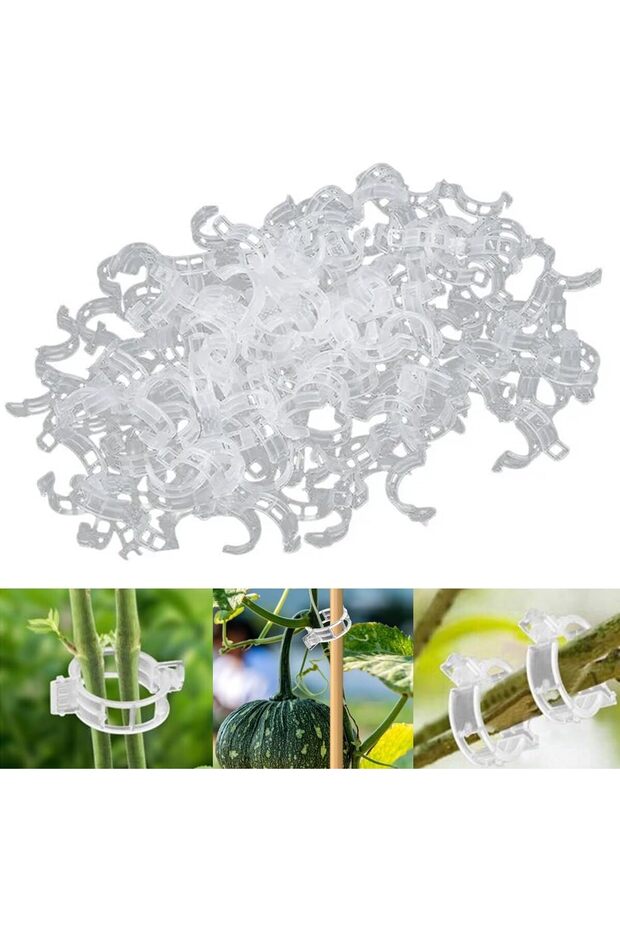 Cherry Pitter,Olive Pitter Tool,Pit Remover,Quick Push Pull,6 Hole Seed,Multi-Function Core Seed Depitter,Green,Kitchen Tool
