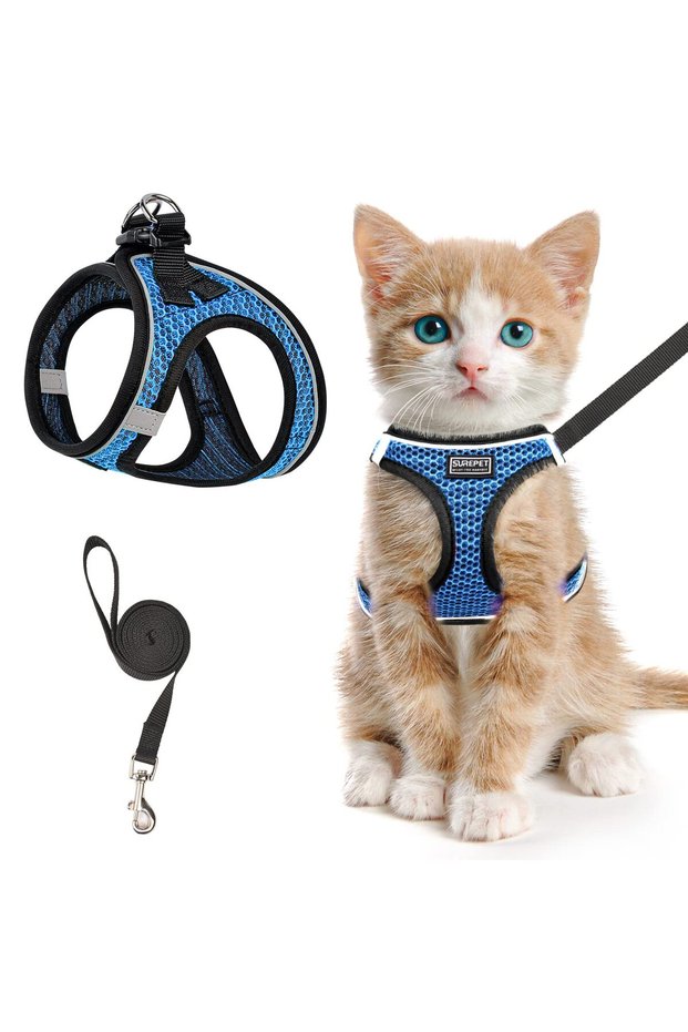 M Blue Harness Set Cat Harness and Leash for Walking, Escape Proof, Adjustable Kitten Vest, Reflecti
