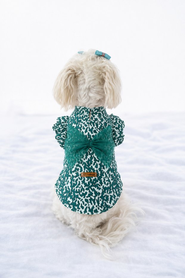 Cat-Dog 100% Cotton Viscose Summer Shirt - Undershirt - Dress - Clothing