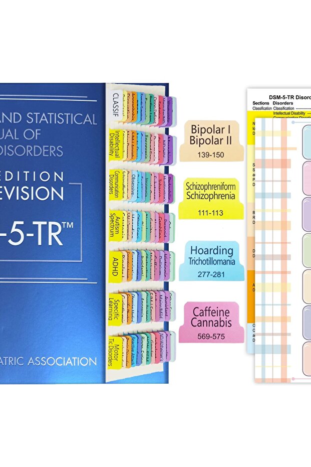 DSM-5-TR Tabs-100pcs 100-Pack Colorful & Laminated Dsm-5-Tr Tabs With Alignment Guide And Disorder D