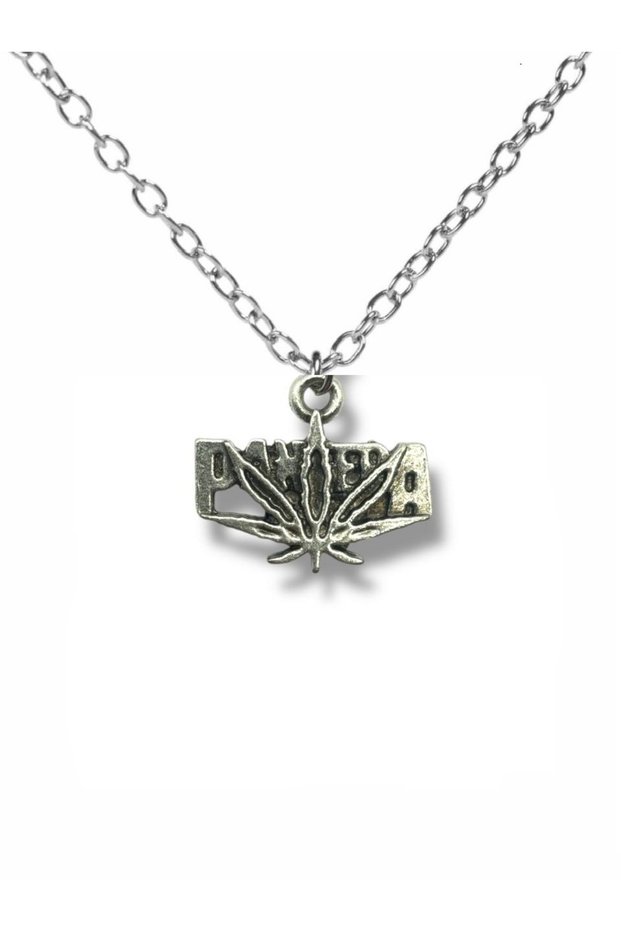 Silver Color Unisex Metal Necklace with Pantera Logo Figure – Jewelry Reflecting the Spirit of Heavy Metal