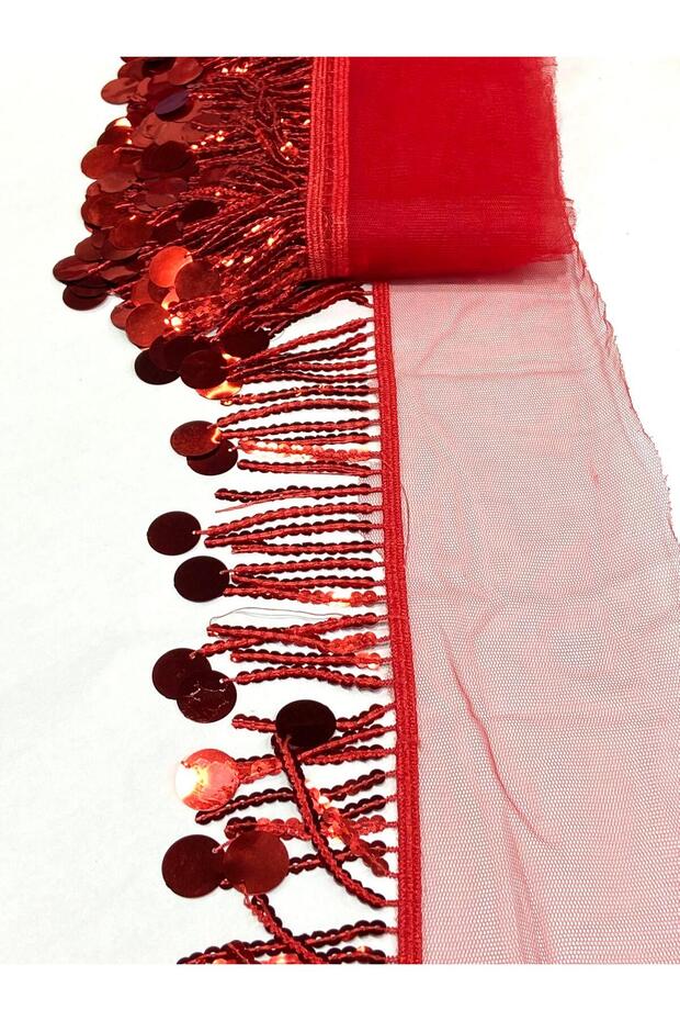 Large Sequin and Sequin Embroidered Fringe with Tassels / 7 cm / Df370 / 1 Meter Red