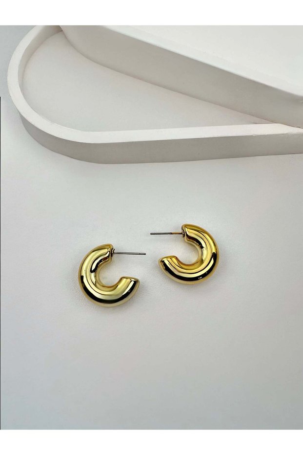 Zr Model Gold Hoop Earrings