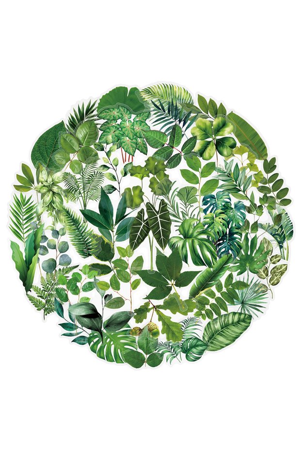 50pcs 50Pcs Transparent Green Plants Stickers for DIY Waterproof Scrapbook Stationery Travel Luggage