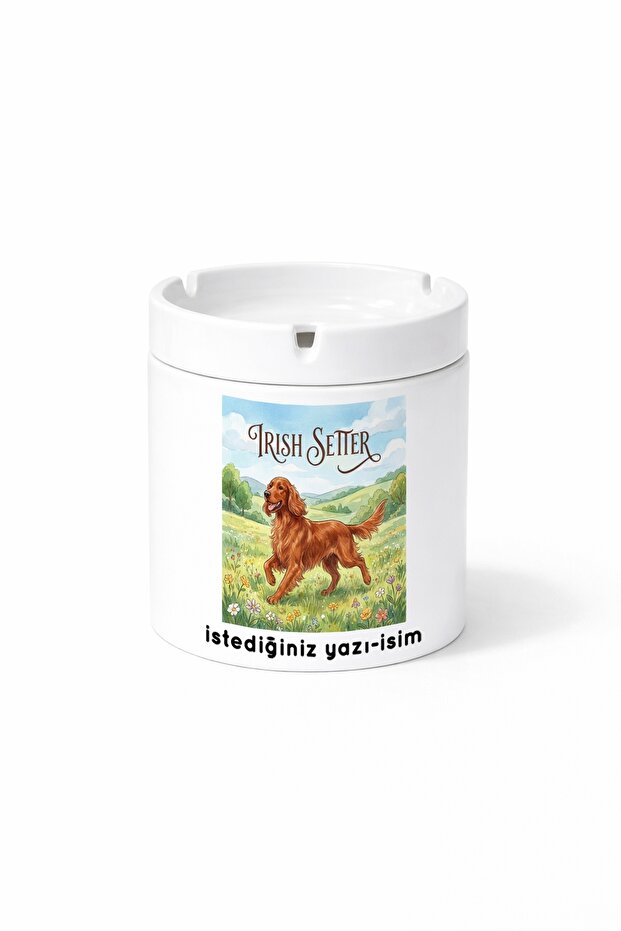 Animal Irish Setter Irish Setter Dog Double Sided Printed Porcelain Ash Tray Ashtray