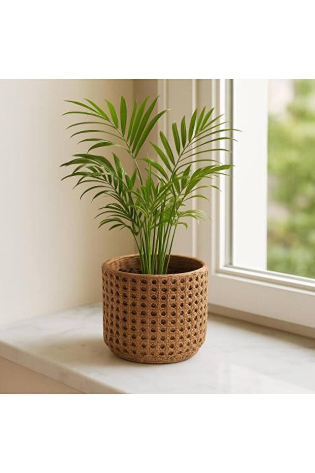 وعاء نباتات بنمط الخوص البني