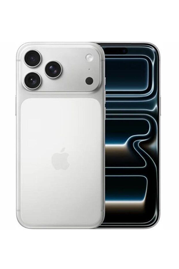 iPhone 17 Pro Max 256GB Argintiu