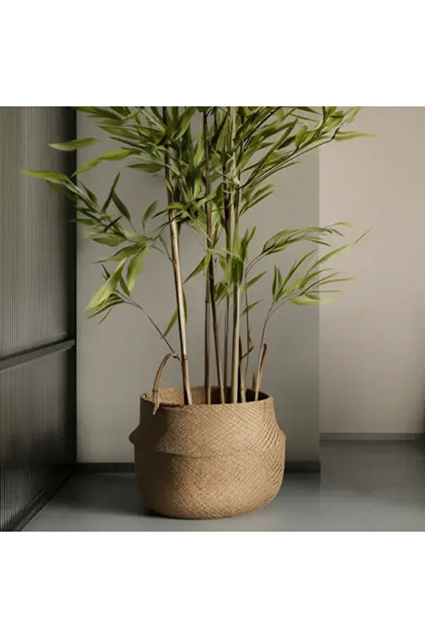 Bamboo Tree - 6