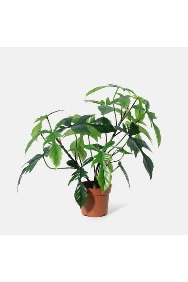 Fernza Artificial Philodendron Plant 58cm Green Decorative Indoor Plant