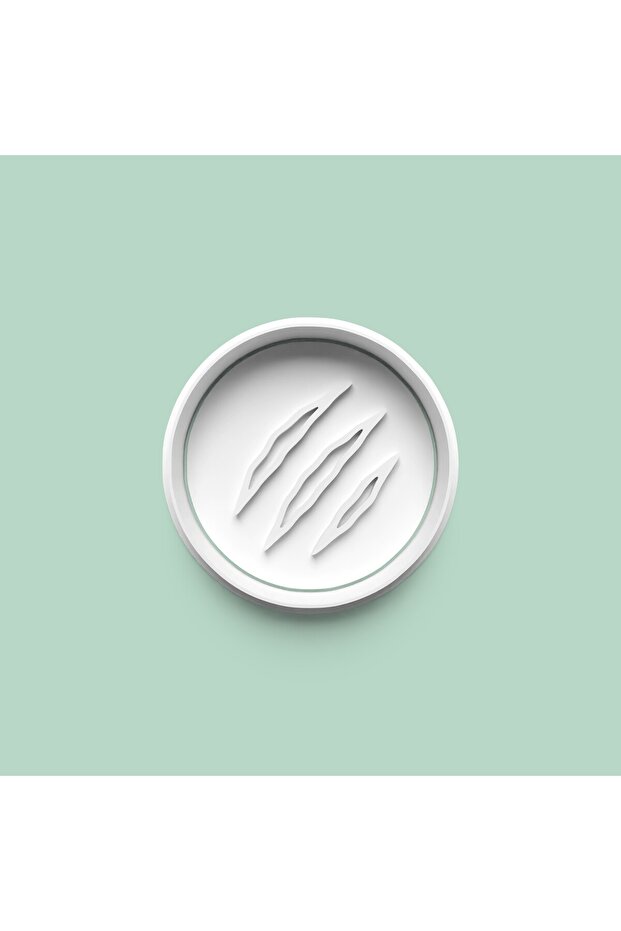 قالب بسكويت على شكل مخلب الذئب وقالب عجينة السكر 0953-2