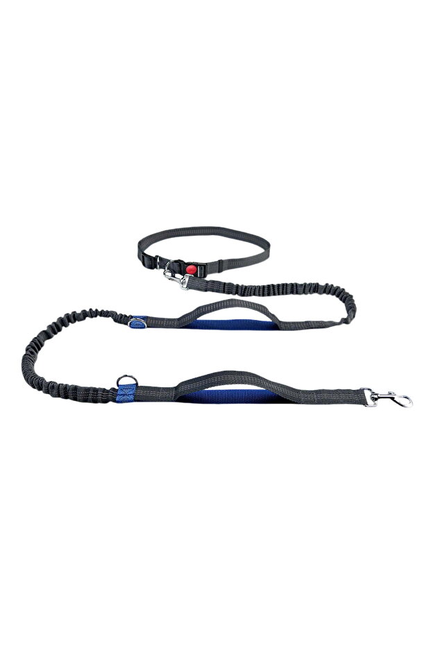 Hands-free running leash, reflective elastic waistband, dual handle controls, blue