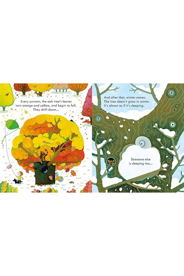 Peep Inside a Tree book about trees - Peep Inside a Tree - 3
