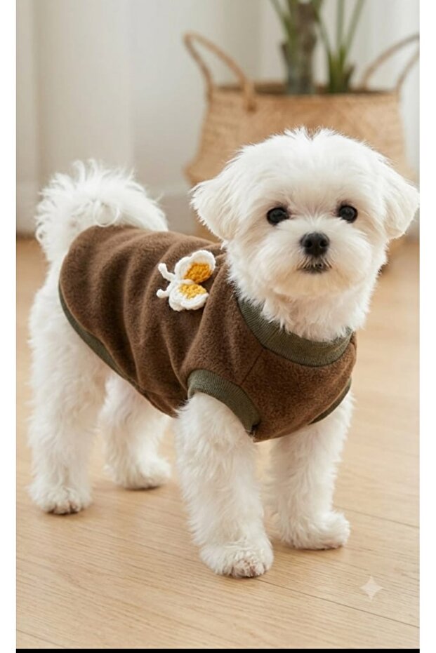 Cat Dog Outfit Khaki Fleece Butterfly Applique Tshirt Sleeveless Sweatshirt