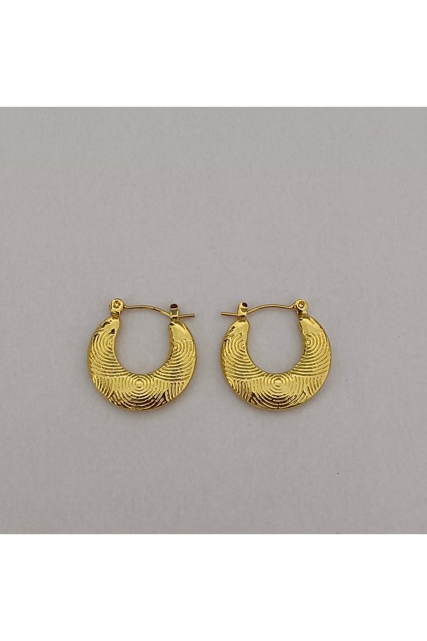 Stainless Steel Antiallergic Gold Color Earrings, Suitable for Daily Use and Combinations