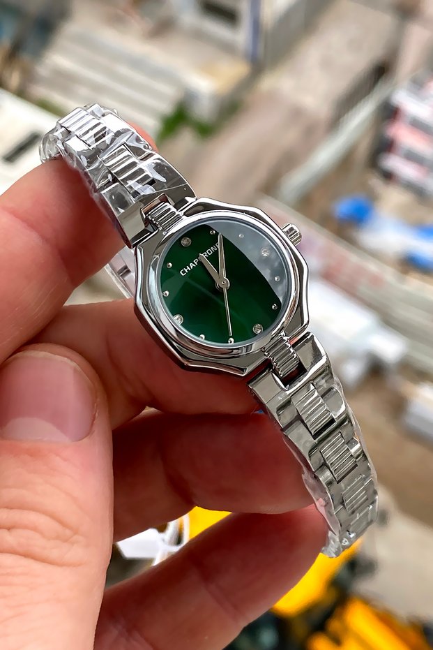 Original 2 Year Warranty Women's Wristwatch Steel Band Waterproof