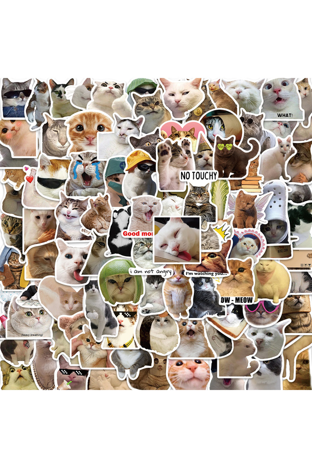 100pcs 100PCS Cute Funny Cat MEME Animals Graffiti Stickers Phone Guitar Laptop Notebook Suitcase Cu