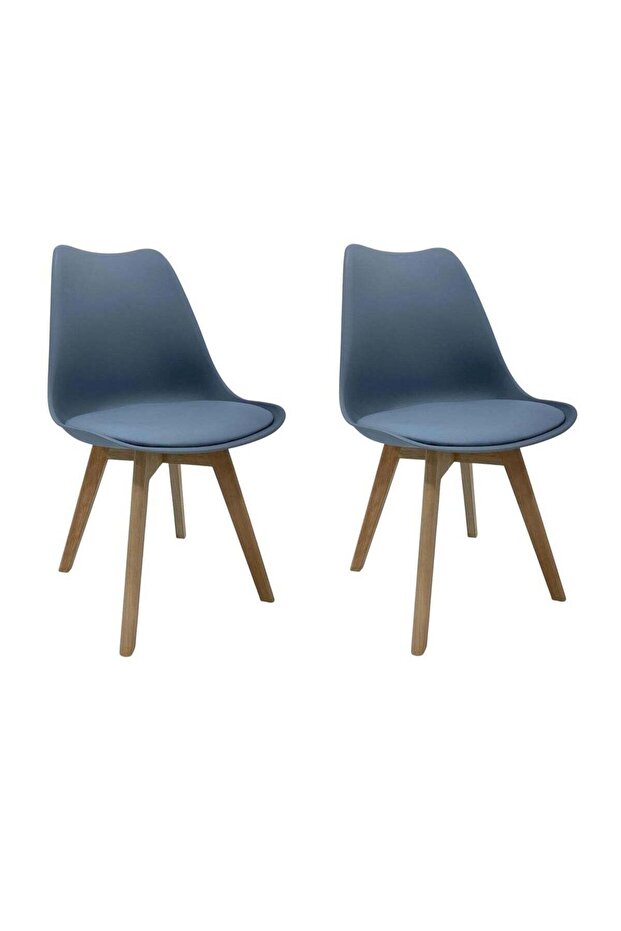 Dinning Table Chair 2-Pack