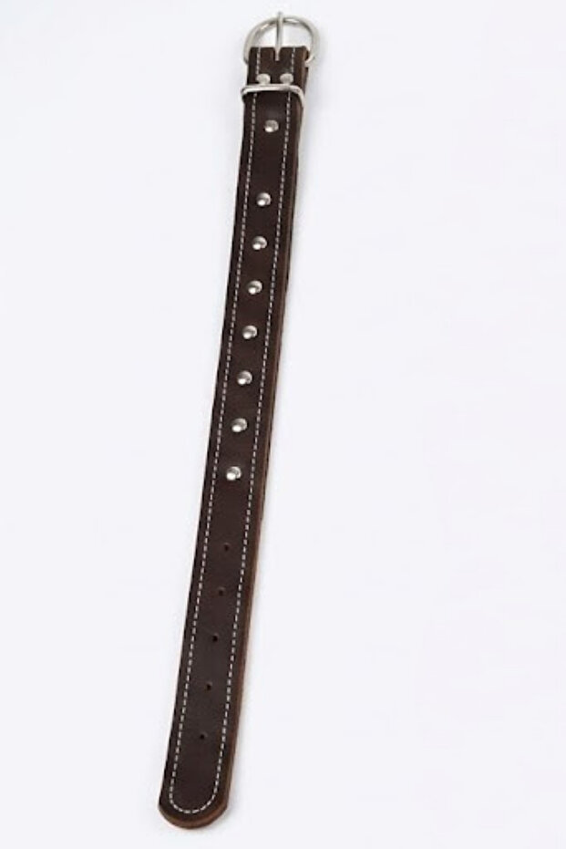 Leather Leash Dark Brown 65 cm