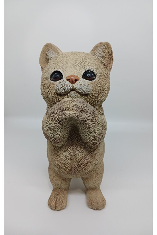 Bilmiyorum Kedi Biblosu
