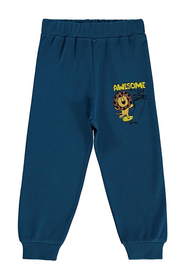 Boy's Awesome Lion Printed Sweatpants for Ages 2-5 - Green