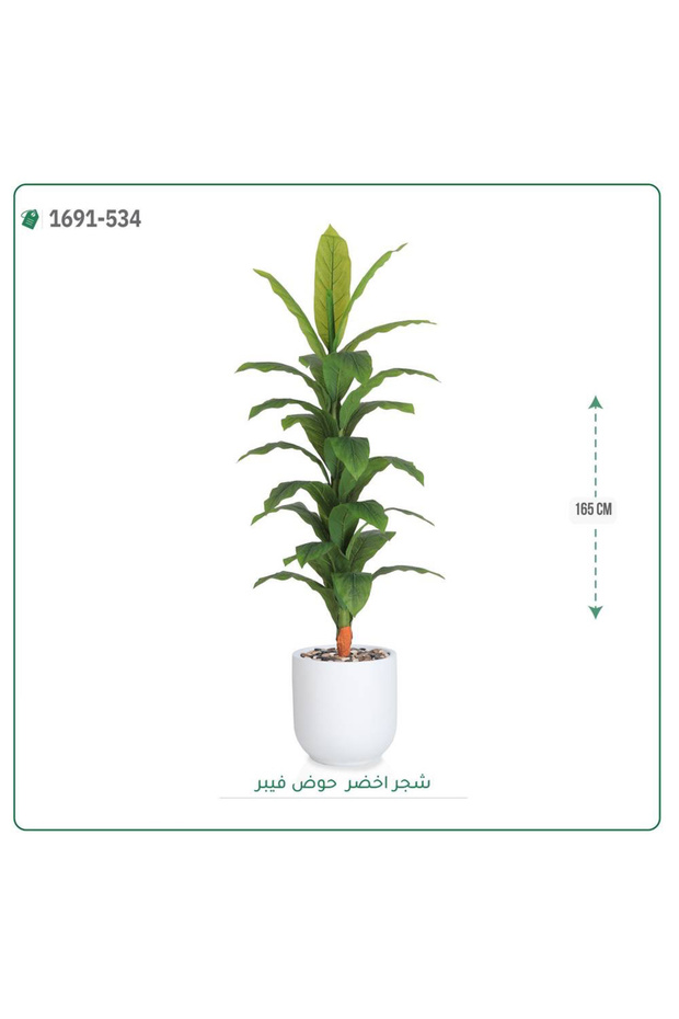 شجرة ورق أخضر وسط بحوض فيبر اسطوانى