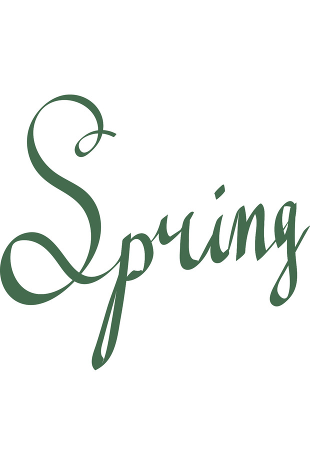 Μπλούζα Spring - 2