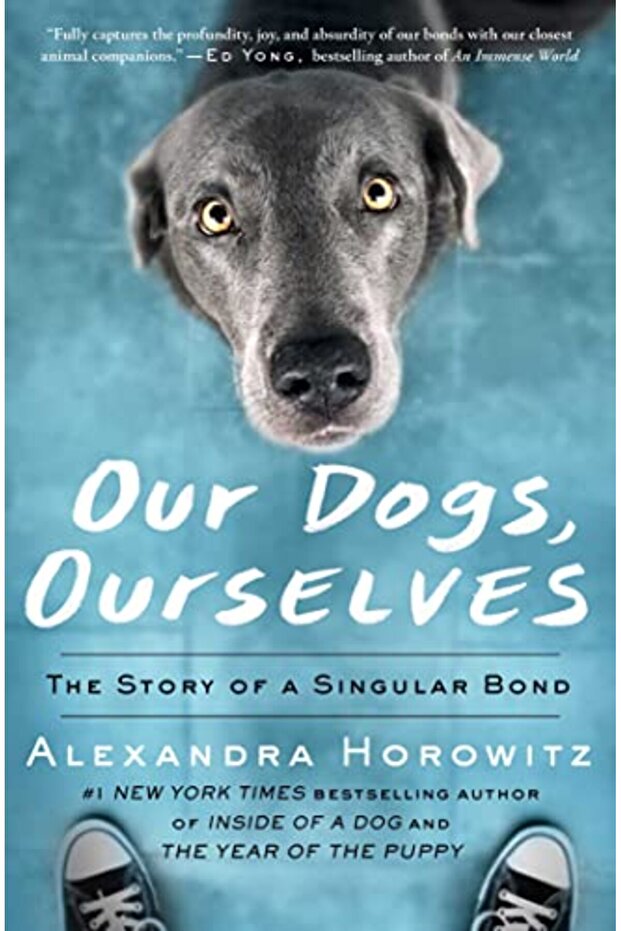 Our Dogs Ourselves