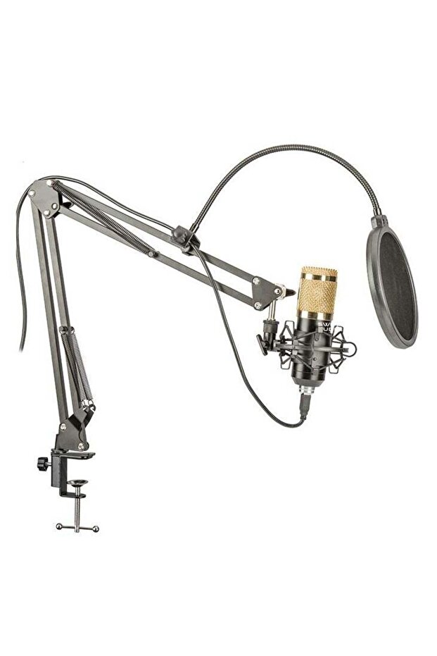 Professional Cardioid Microphone With Adjustable Scissor Arm And Shock Mount