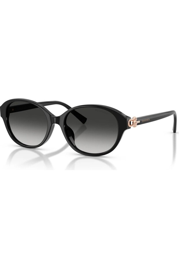 Tiffany Tf4263-D 8001/3C 54 Women's Sunglasses