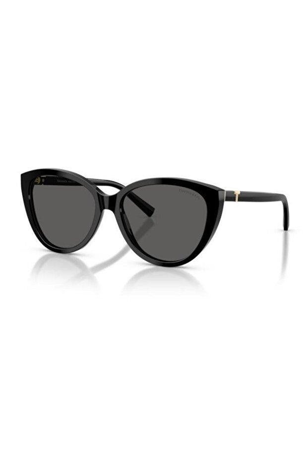 Tiffany & Co. 0Tf4251 8001S456 Women's Sunglasses
