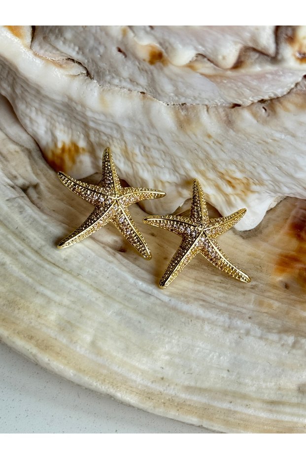 Steel Zircon Stone Starfish Earrings