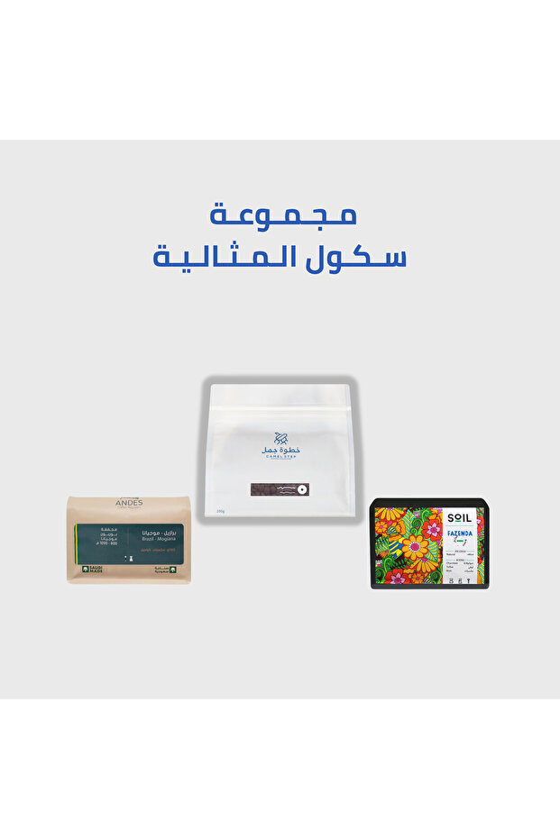مجموعة قهوة مختصة حبوب كاملة 3 محاصيل متنوعة بطابع كلاسيكي 250جم | Go-to choice Coffee Bundle